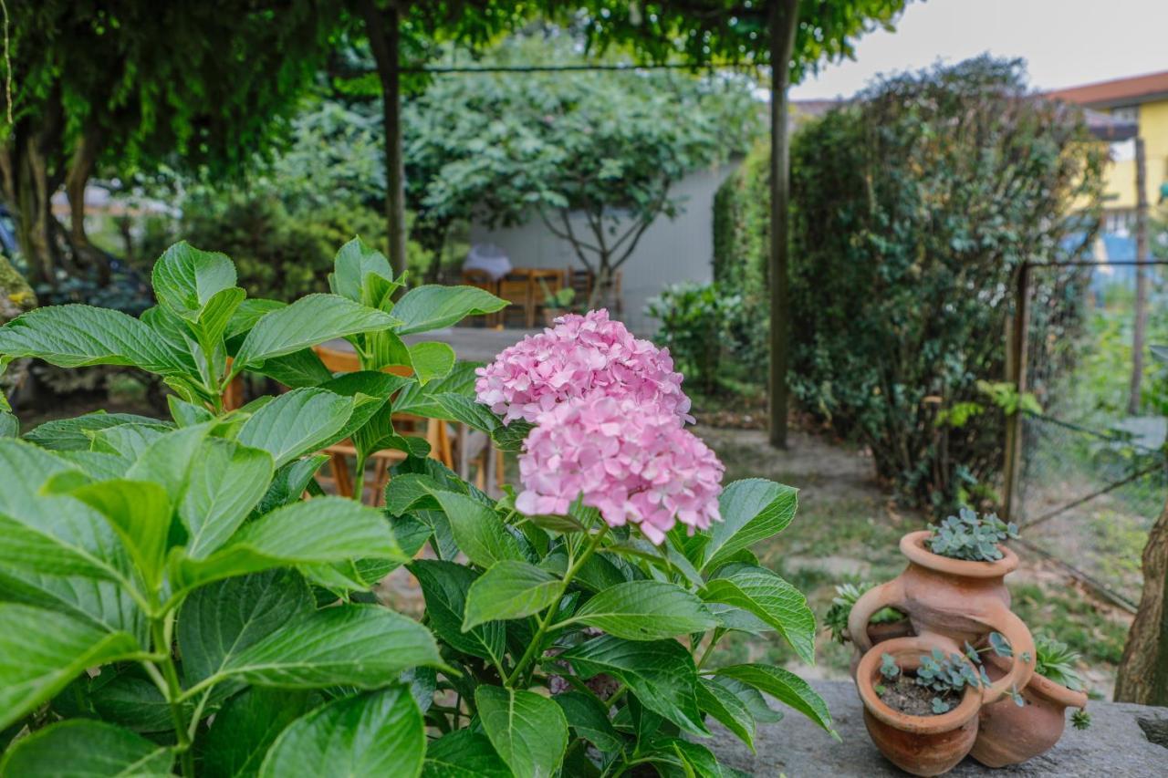 Il Germano Reale Bed & Breakfast Alba  Ngoại thất bức ảnh