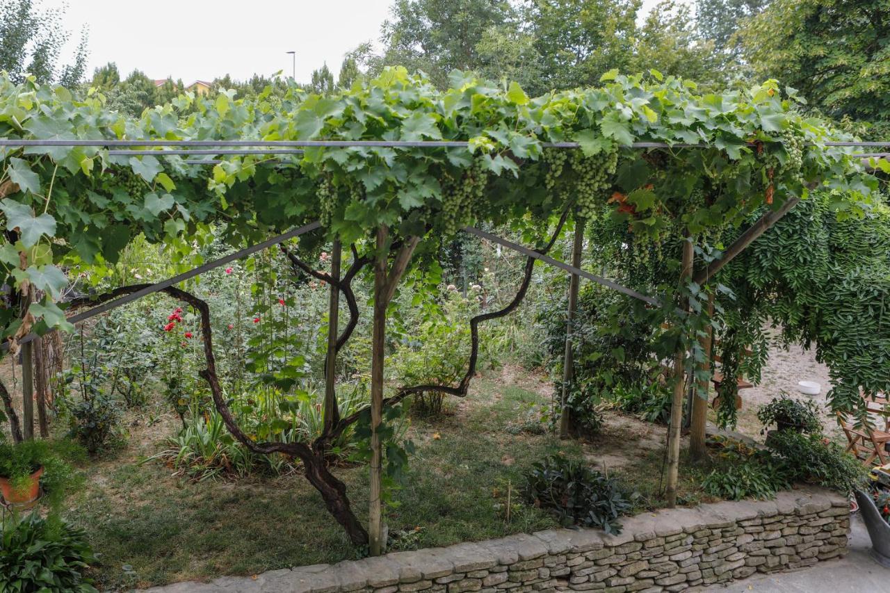 Il Germano Reale Bed & Breakfast Alba  Ngoại thất bức ảnh